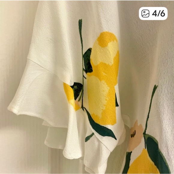 Rails Lemon Print V-Neck Short Sleeve Wrap Blouse - Picture 4 of 7